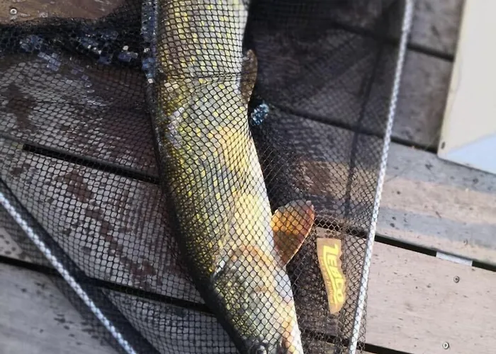  Havel-cruiser Hausboot-floesse Mit Stil 2*